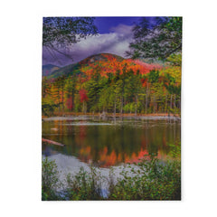 Vibrant Scenic Decor Pillow