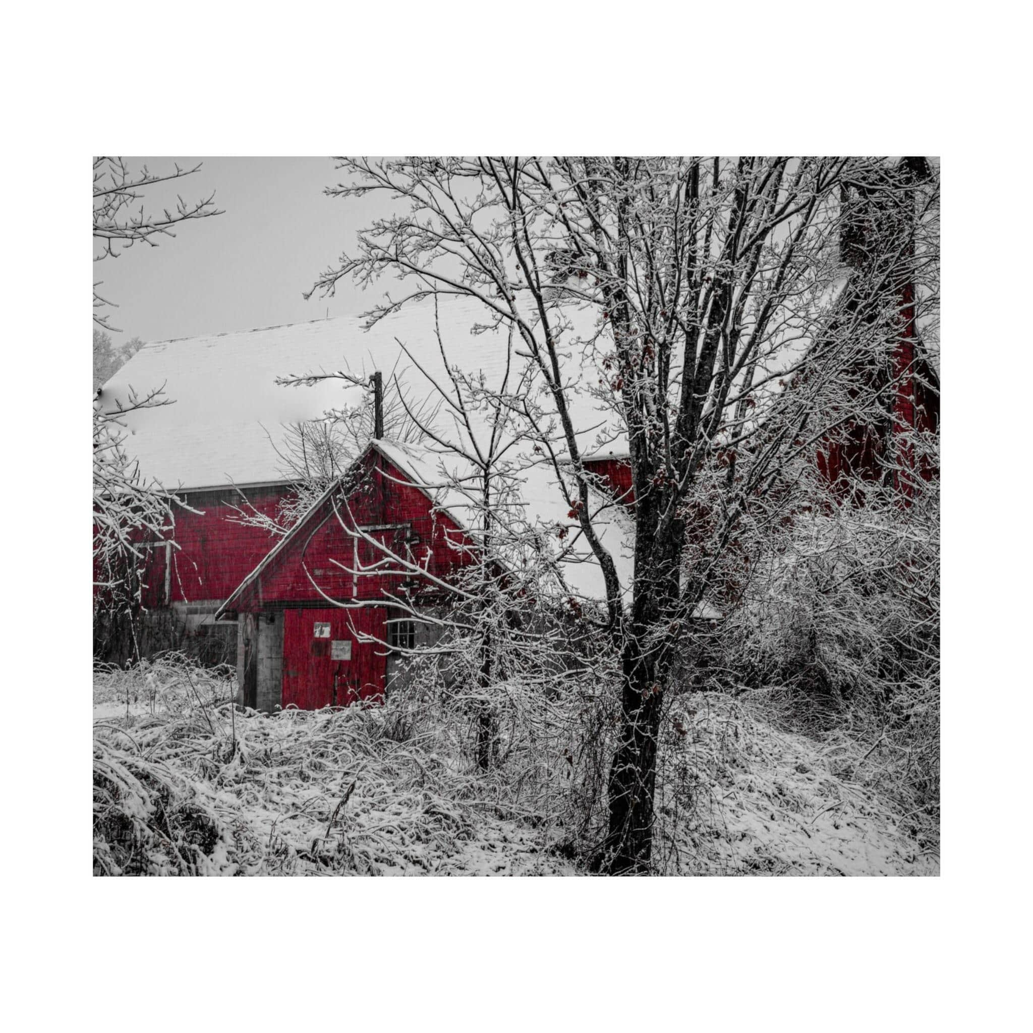 Poster - Snowy Barn (Greenwich, New York)