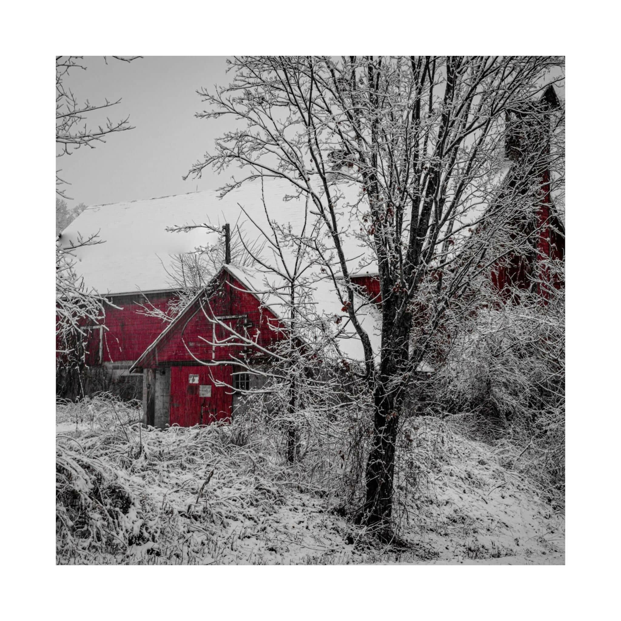 Poster - Snowy Barn (Greenwich, New York)