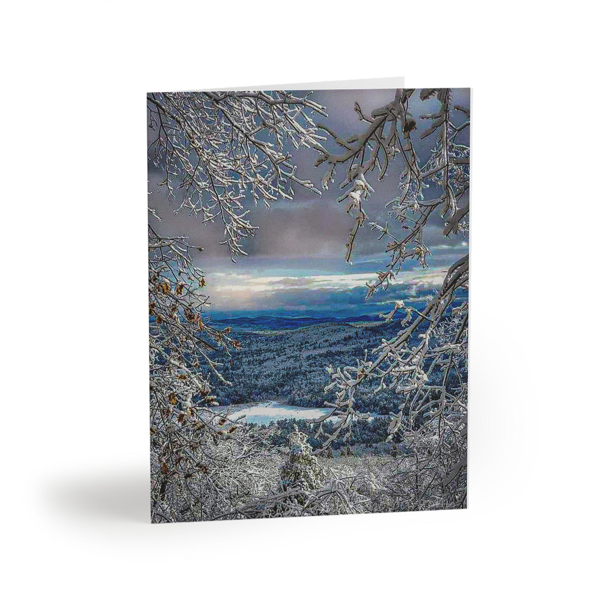 Greeting Cards - Snowy New Year's Day Scene