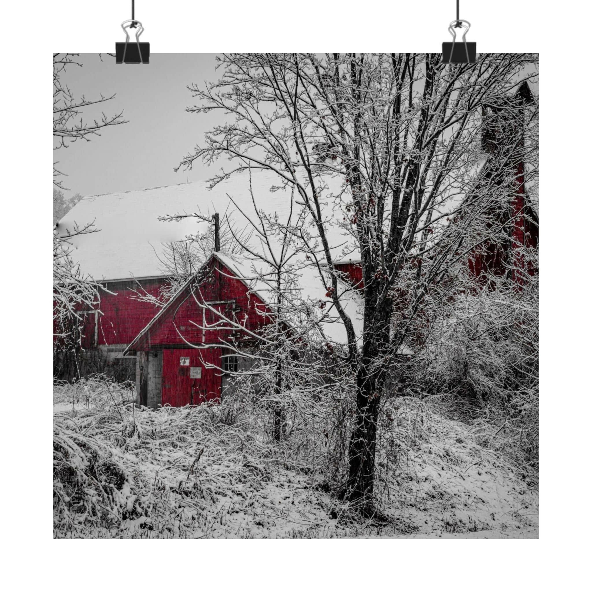 Poster - Snowy Barn (Greenwich, New York)