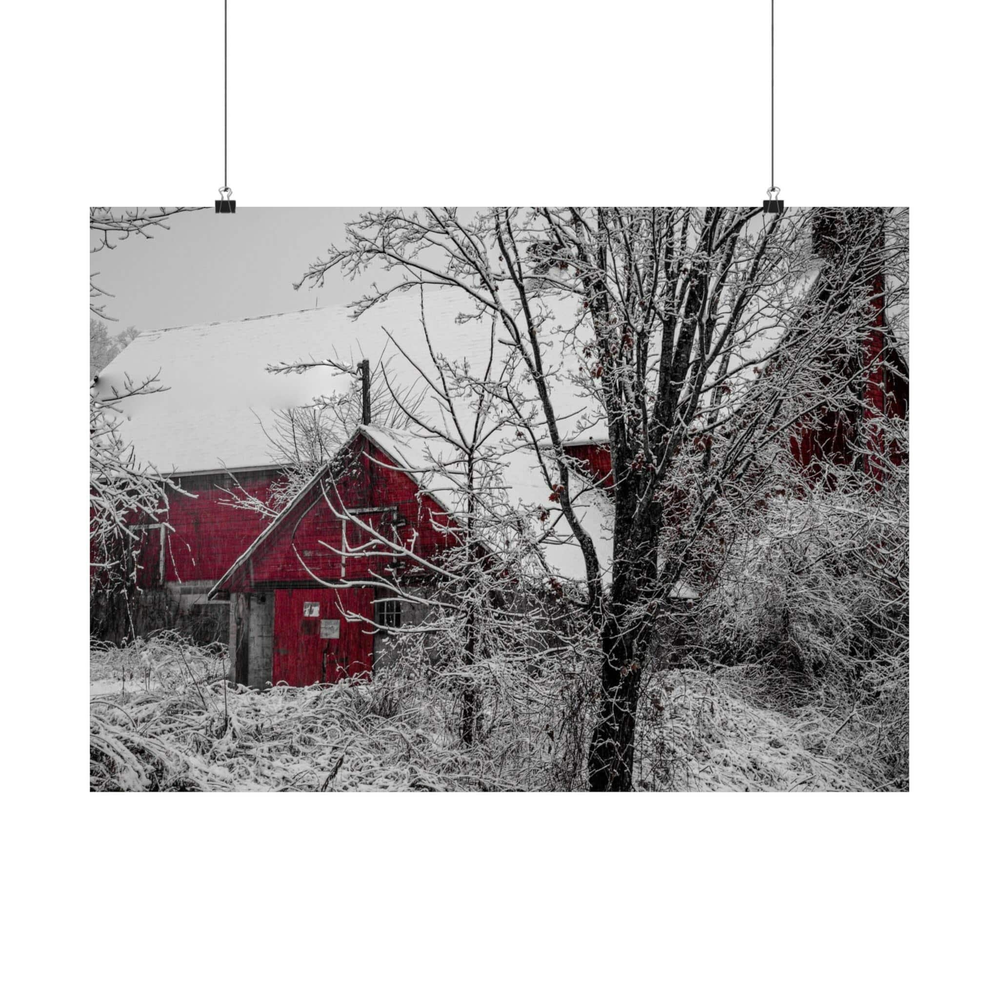 Poster - Snowy Barn (Greenwich, New York)