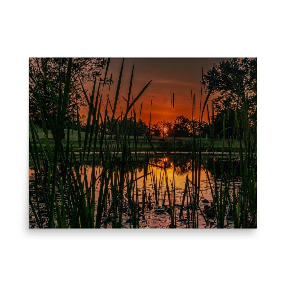 Down by the Pond - Scott Waite Photography