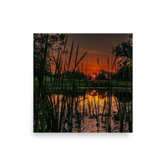 Down by the Pond - Scott Waite Photography