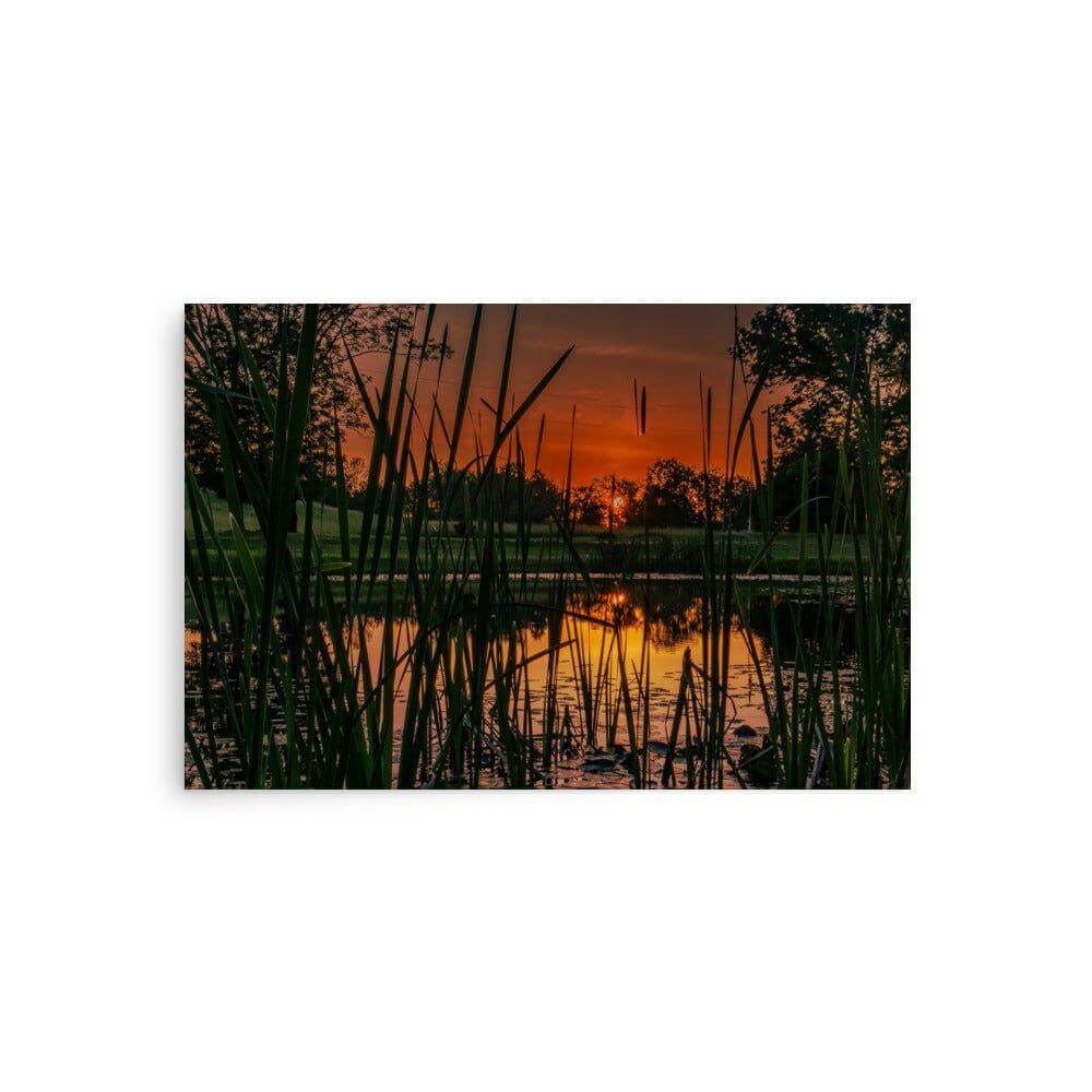 Down by the Pond - Scott Waite Photography