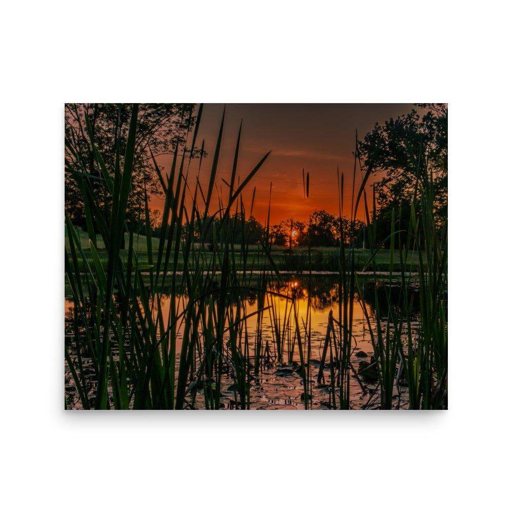 Down by the Pond - Scott Waite Photography