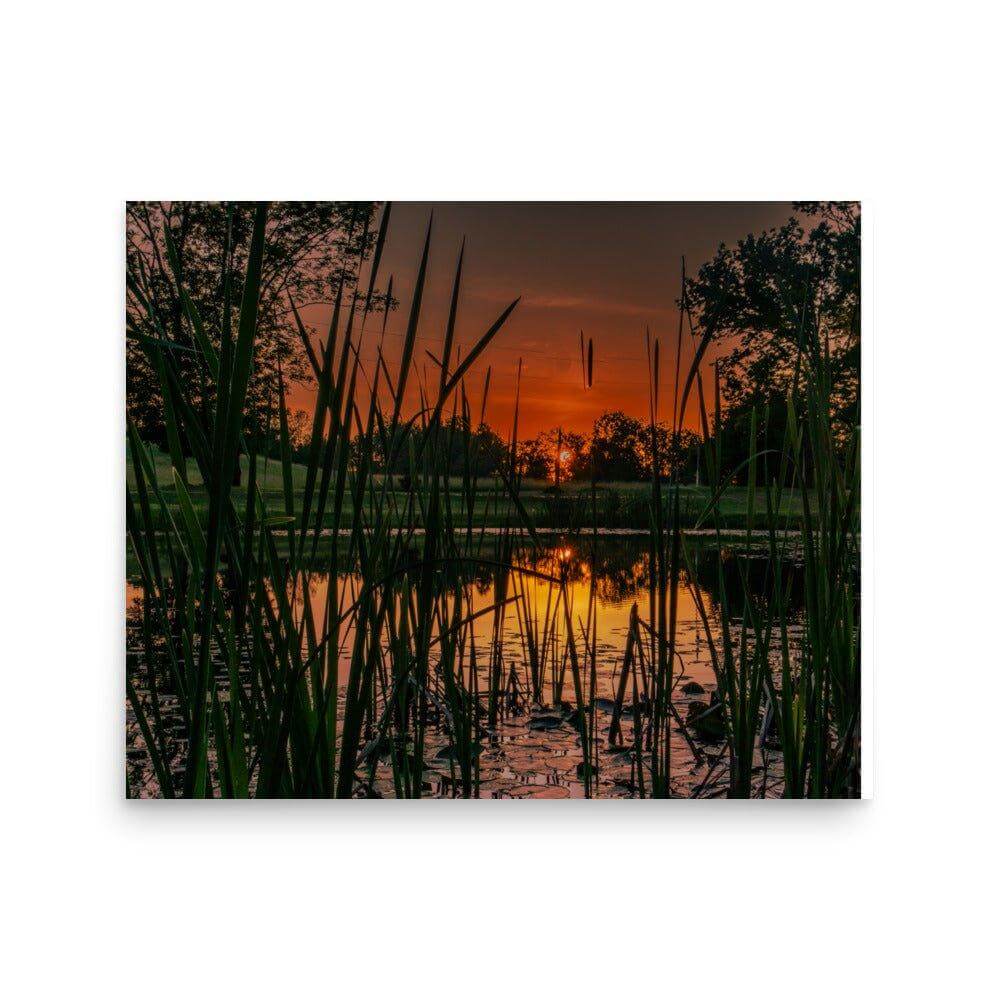 Down by the Pond - Scott Waite Photography