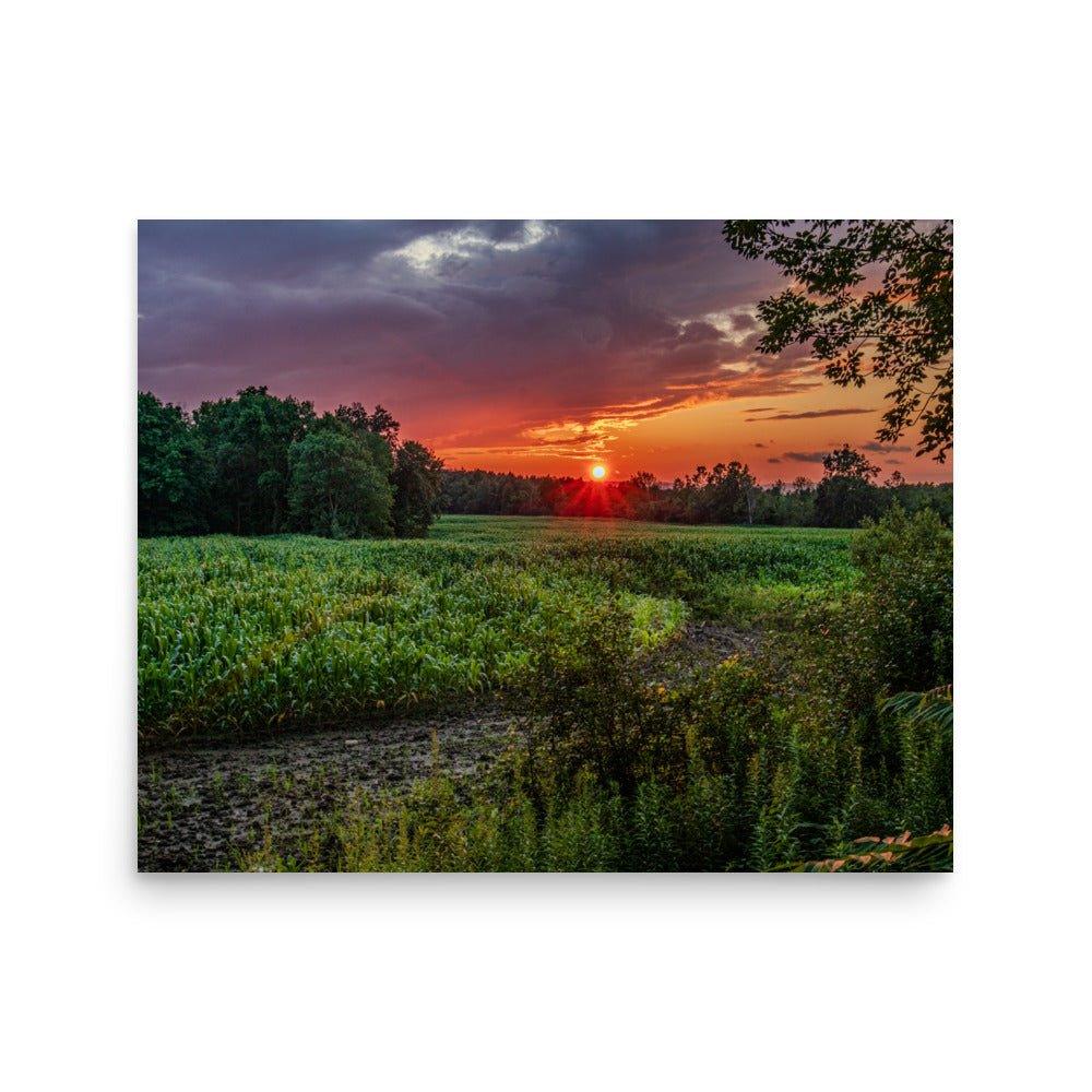 Golden Flower of the Sky - Scott Waite Photography