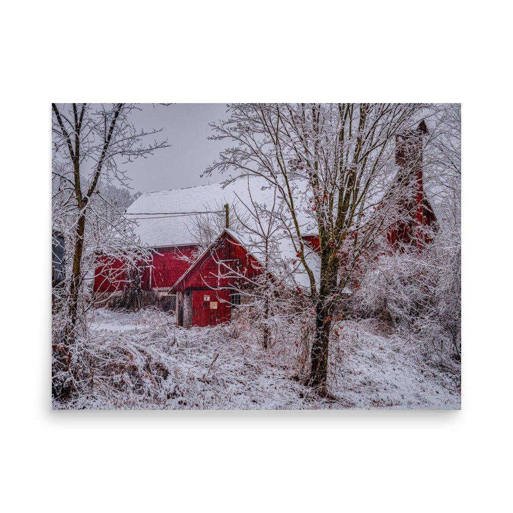 Nestled in for the Winter - Scott Waite Photography