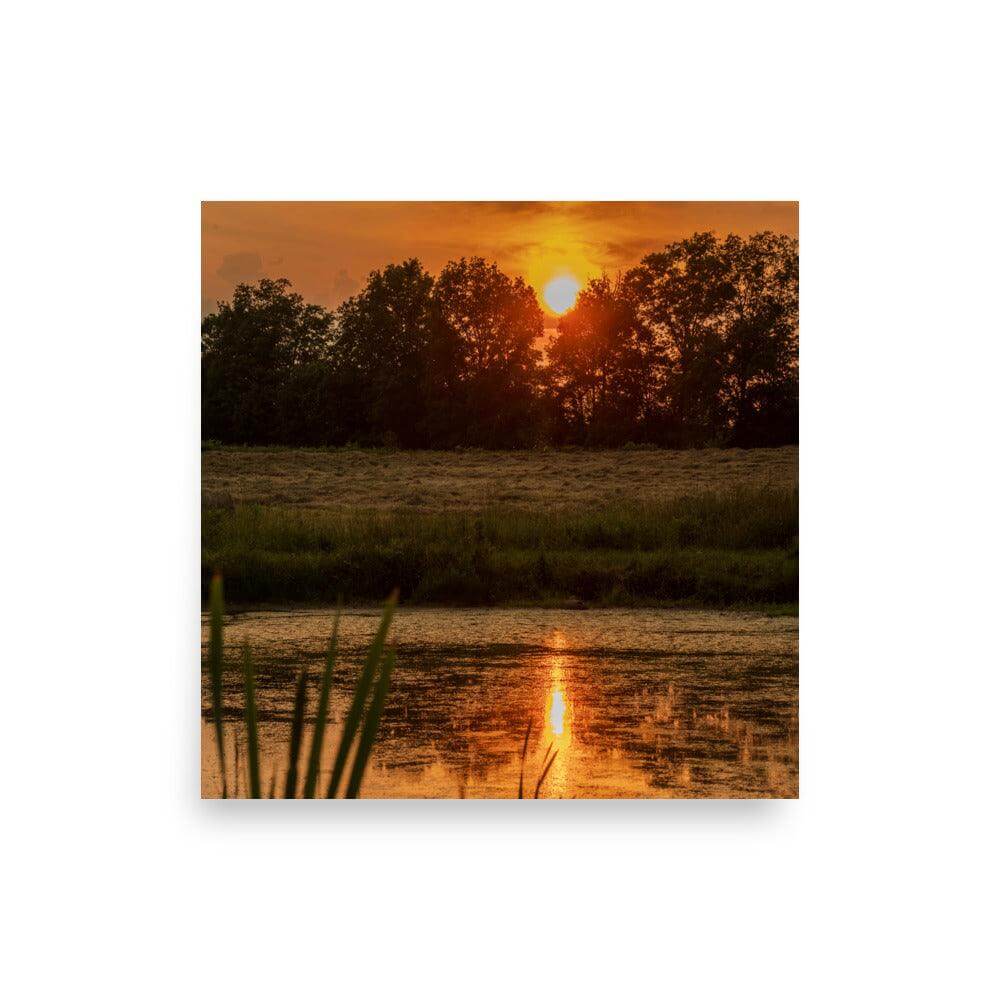 Tranquil sunset reflecting on a calm lake with trees silhouetted against the orange sky.