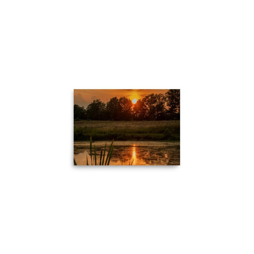 Sunset over a serene pond with trees in the background on a matte-finish poster