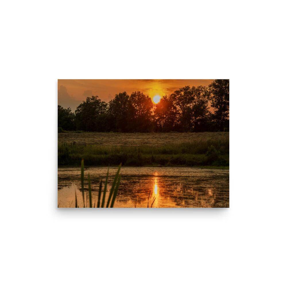 Sunset over a serene pond with reflections and silhouette of trees in the background. Matte-finish poster perfect for any space.