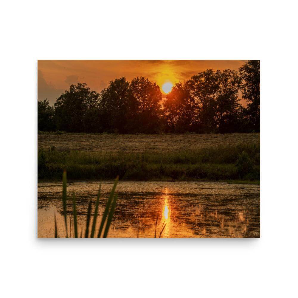 Sunset over a serene pond with silhouettes of trees and reflections in the water.